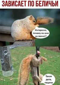 1688980238193478851.webp