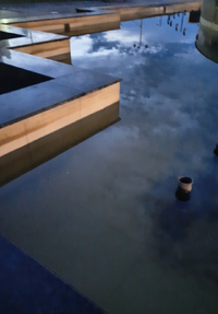71528_Gallery.webp
