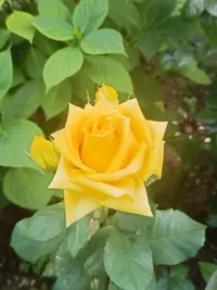IMG20230709115446.webp