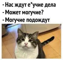 1687630229168823081.webp