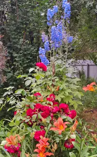 IMG-20230711-WA0003.webp