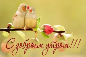 51c0484669705218d68c4395a30a27f8.webp