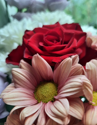 1503439_Gallery.webp