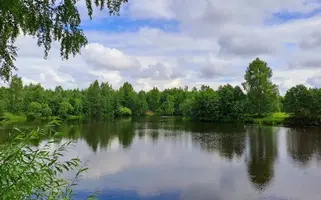 IMG-20230715-WA0001.webp