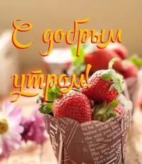 860D3C7B-F7BC-45AF-B9E7-6DC89322D12B.webp