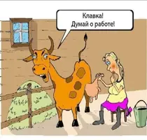 f3a3cd77aa5b694998ab073a8b9329fa.webp