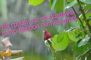 202F13B6-14A4-4700-A776-B2C00B9406CA.webp