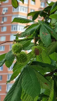 20230717_153520.webp
