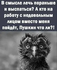 IMG_20230718_102724_871.webp