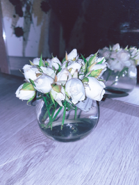 90607_Gallery.webp