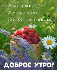 Доброе-утро-картинки-с-летом-за-2022-год-для-родных-8.webp