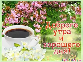 171-20211118_012803.webp