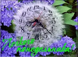 8C71B90F-3F92-48AA-B4D1-08589F4C4F02.webp
