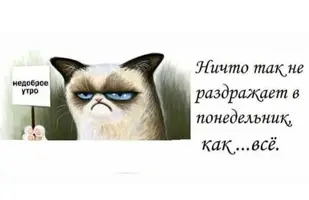9AD6FF5C-75AD-4CE9-B311-3B2FAD42D601.webp