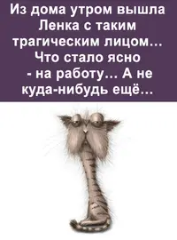 IMG_20230717_085137_708.webp