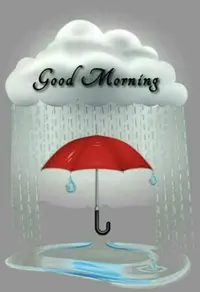 FC8F8ABC-AD11-4968-85F1-DEE0FC4A6DB2.webp