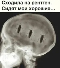 cb7dcc24d1210f90326c50af1d5a4142.webp