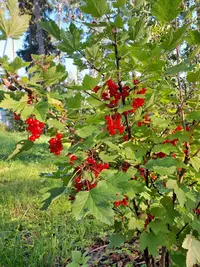 IMG-20230722-WA0002.webp