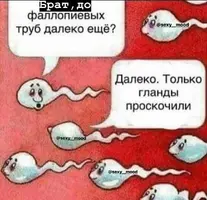 ea66feb58f9a8f072d1621ae419710c7.webp