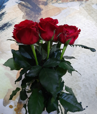 999955821_Gallery.webp