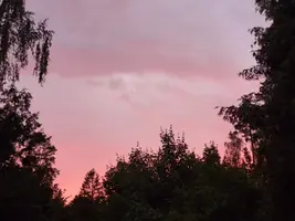 IMG-20230728-WA0002.webp