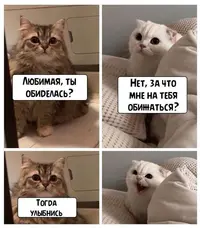 1690647662142270991.webp