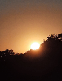 828_Gallery.webp