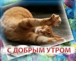 28a738a25b0d91823b5021e74f051398.webp