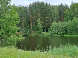 IMG-20230716-WA0006.webp