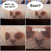 ORTeDJ2QiNU.webp