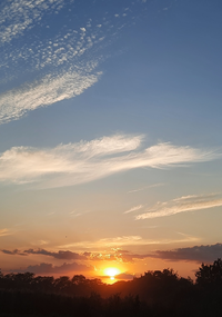 03426_Gallery.webp