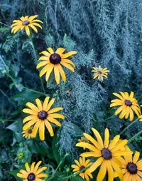 63755_Gallery.webp