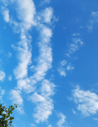 1714_Gallery.webp