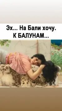 d336f8e93029dd60e3fde15415f57d08.webp