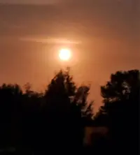 IMG-20230801-WA0007.webp