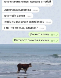 1690905195150972568.webp