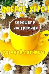 85A10325-57C6-45D1-A418-6AC517890631.webp