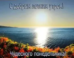392A7149-01FC-4B29-8E93-61F4E2E79D0C.webp