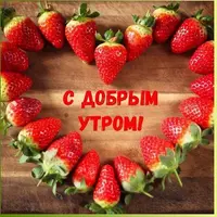 16462.webp