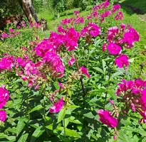IMG-20230730-WA0002.webp