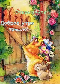 IMG_20230809_065035_379.webp
