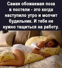 IMG_20230809_070404_133.webp