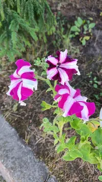 IMG_20230810_135134_008.webp
