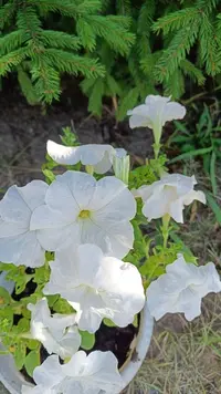 IMG_20230810_135140_284.webp