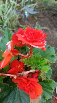IMG_20230810_135146_645.webp