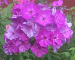 2FB1A459-056E-435A-BD93-1721681581AE.webp