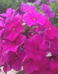 80F495CA-B5BA-4BBF-BE8C-261B1D66518C.webp