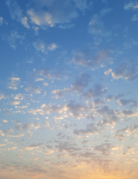 195831_Gallery.webp