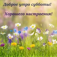 166314155.webp
