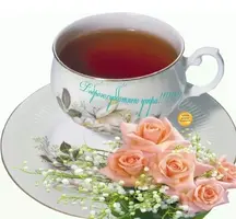 4E97BF75-5222-4962-81A7-67D6F57A9084.webp